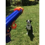 Бластер для игры с собакой Nerf Dog Compact Tennis Ball Blaster